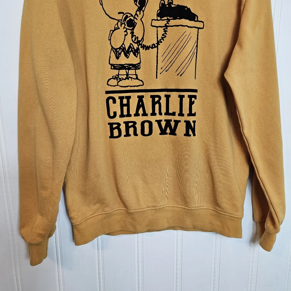Zara peanuts charlie